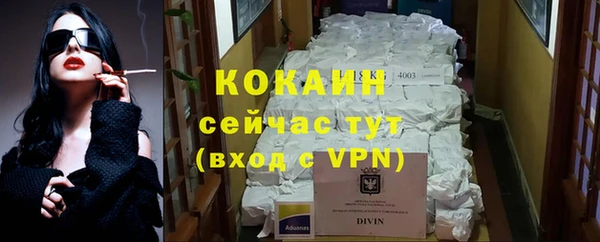 дживик Елабуга