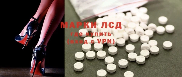дживик Елабуга