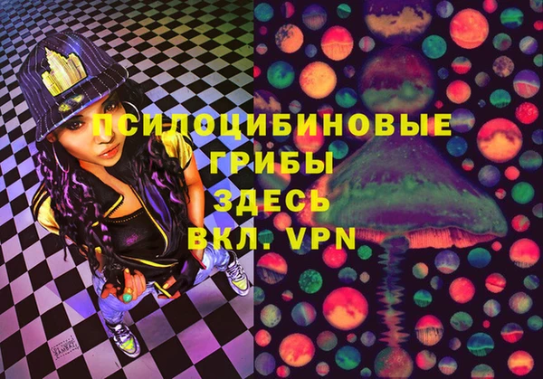 дживик Елабуга