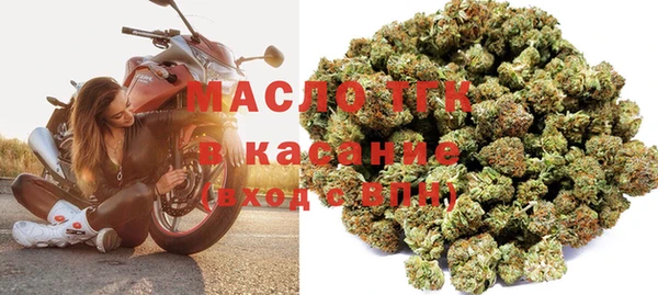дживик Елабуга