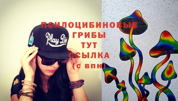 первитин Ельня