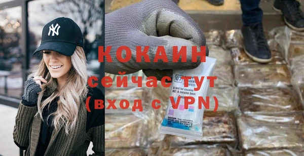 первитин Ельня