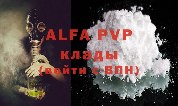дживик Елабуга