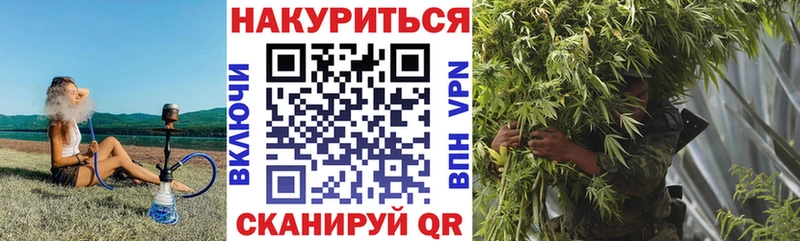 Купить где  Касимов  Конопля план 